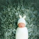 아이첼스튜디오