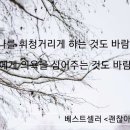 역경이 내 삶을 빛나게 해준다 이미지