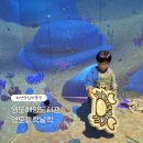 이랑도서관 | 국립해양박물관 부산 영도 들락날락 어린이해양도서관