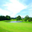 노송골프 이미지