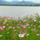 낙동강변9 이미지