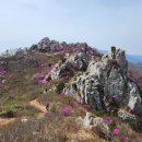 강진 주작 덕룡산 특별산행 공지[4월6~7일] 이미지