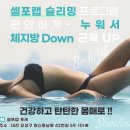 셀포랩포레