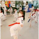 용인대인성태권도 이미지