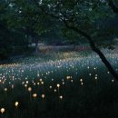 문문(moonmoon)