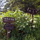 한고개길 티스토리