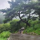 기룡산 등산로3 | 자양면 천년고찰 거동사