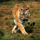 사당역 11번 출구 앞 이미지