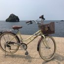 바리스타비주