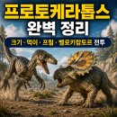 프로토케라톱스 | 프로토케라톱스 완벽 정리｜크기·먹이·프릴·벨로키랍토르 전투