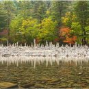 한스민박 이미지