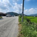 이양면사무소 이미지