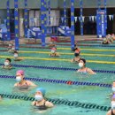 아쿠아로빅 이미지