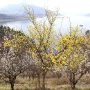 청풍호떡갈비 이미지