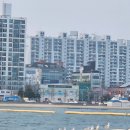 포항여행코스 포항요트투어 요트데이 석양타임 후기