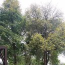 벨라호텔 이미지