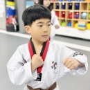 더원태권도 이미지