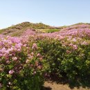 모산재식당 이미지