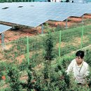 은행마을 태양광발전소 이미지