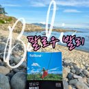 라이크트래블 이미지