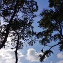 서부동공원 이미지