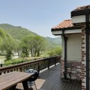 스테이브릴 이미지