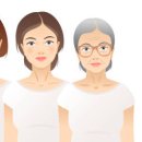 늘 에스테틱 이미지