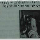 40년, 그 지순한 참사랑의 가르침 이미지