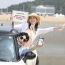 해수욕장길 이미지