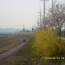 알천남로 이미지