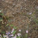 골라먹는재미 이미지