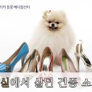 왕실동물병원 이미지