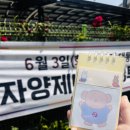 MZ투표인증 따라하기 이미지