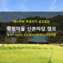 죽청대파니마을 이미지