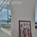 리파인필라테스 - 성남시 수정구 위례동로 135 | 리파인필라테스
