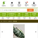 묘한정원 이미지