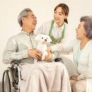 노인복지론 이미지