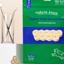 건 덴탈 이미지