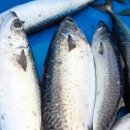 사구어촌체험마을(송지면 사구마을) 이미지