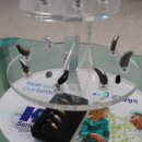 스타키보청기 김포센터 이미지