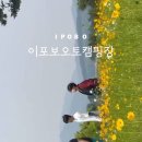 골든오토 이미지