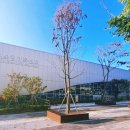수원시 체육회(광교복합체육센터)