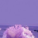 (주)퍼플오션 이미지