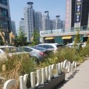울산 중구 카페 스컹크웍스 주차장이 있어서 방문하기 좋은 카페