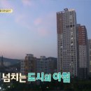 홍시집 막내아들