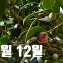 제주찰리아저씨