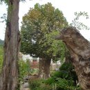 민기농장 이미지