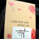 팬더짬뽕 이미지