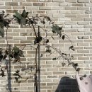 제주도펜션 브리니프라이빗 이미지