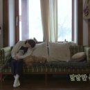 고양이민박 이미지